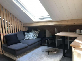 Studio au cœur du sancy